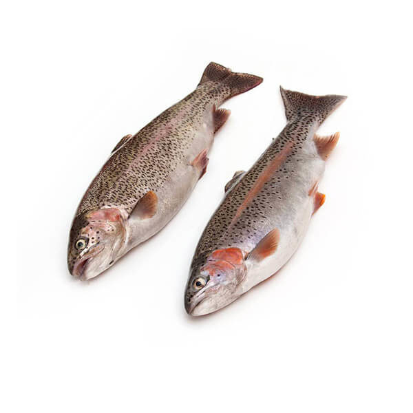 Камбала с/м,