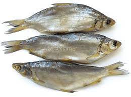 Каскаринская колбаса вареная 380гр  /Каскара/, шт