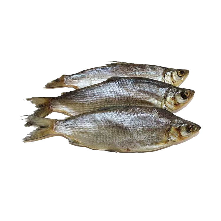 Капуста Брокколи с/м 1/10 кг,